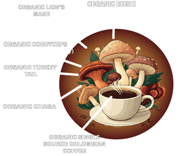 mushroom coffee what were made of