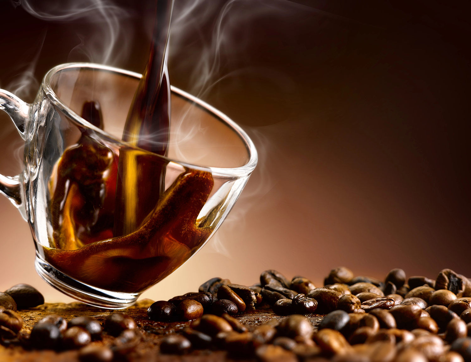 premium mushroom coffee