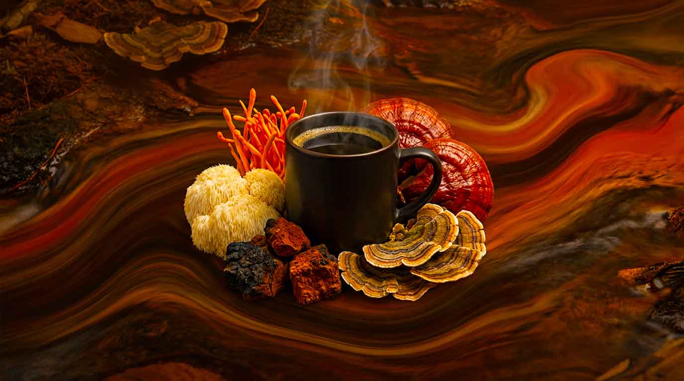 Mushroom Coffee Benefits