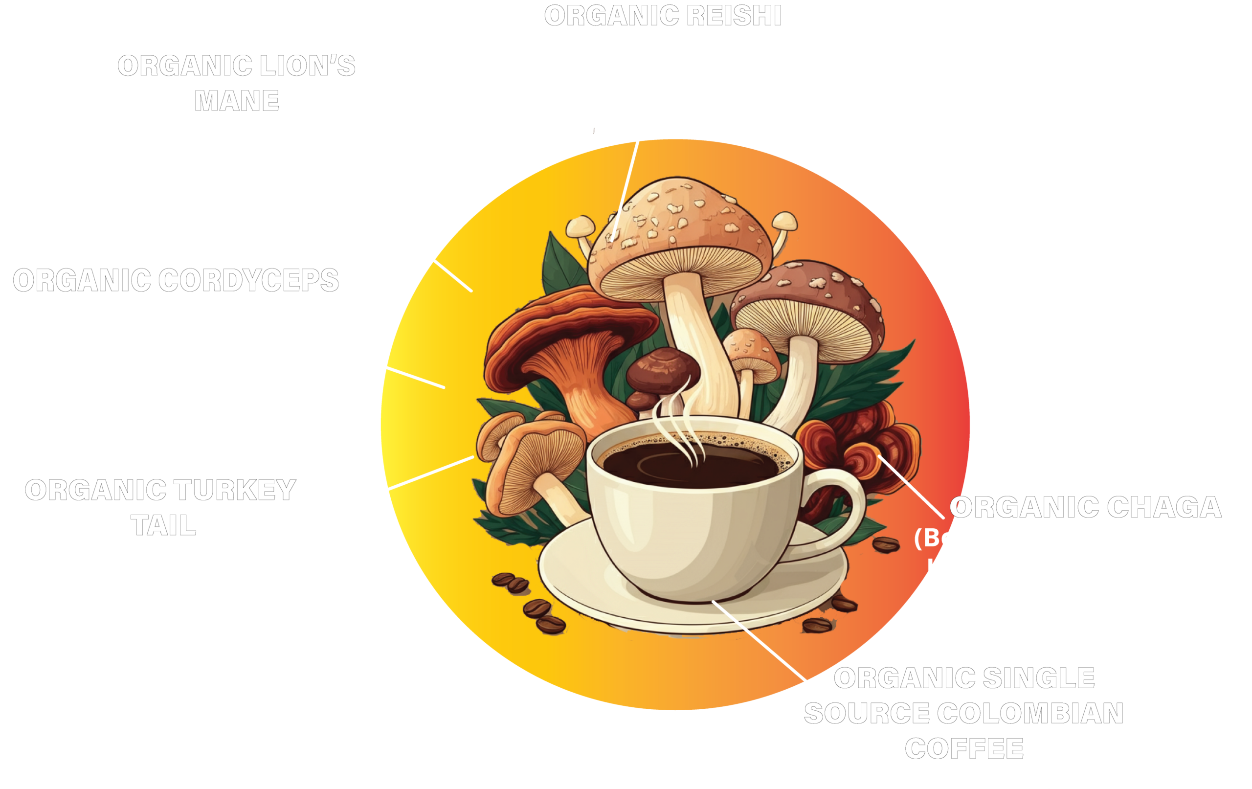 5 functional mushrooms in our coffee